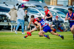 FOOTY FIX – Demons stop Roos, Bulldogs just hold on