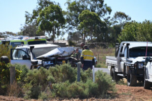 4WD and trailer damaged in Birdwoodton