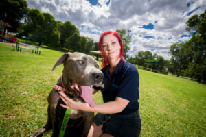 Mildura targets 2500 dogs with parvovirus vaccine vouchers