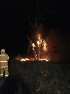 Lightning strikes cause tree fires near Monak, Cardross Lakes