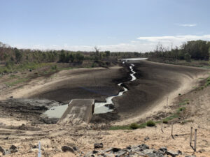 ‘A touch emotional’: Flows to reach Menindee