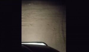 Mallee mice crisis goes viral