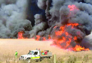 Planned burn creates confusion