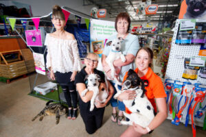 Helping pets find a forever home