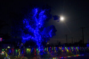 Red Cliffs Christmas display shines light on mental health