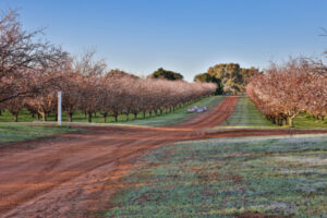 Properties ripe for picking