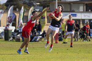 Mildura finds its Demon
