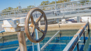 Lower Murray Water removes emergency use restrictions