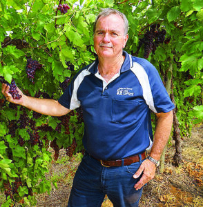 Rural property outlook strong