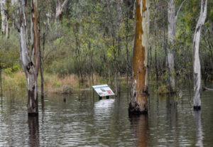 Flood information briefings for public