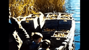 AMAZING VIDEO: The flood of ’56