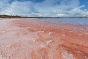 Hold the salt: Project helps protect Murray River