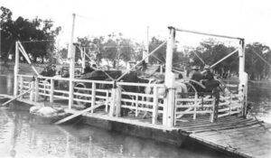 Peeps in the Past: Flood breaks though Mildura punt road