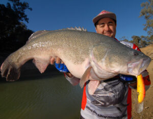 Cod Tales: Cod still biting