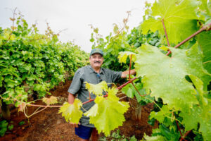 Frank Dimasi slams ‘flawed’ Victorian water model