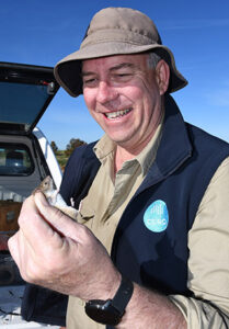 Mallee grain growers put on mouse watch