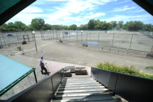 Beyond the flood mud, grass is already greener