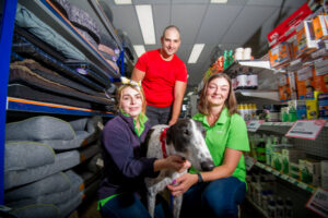 Big dogs in need of a little love