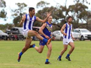 Irymple flies away with 10-goal burst