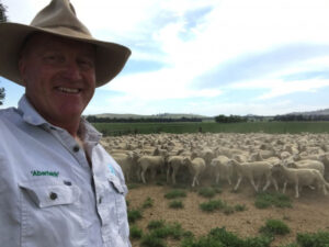 Open market made easy