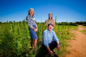 Cardross industrial hemp trial growing strong, say MPs