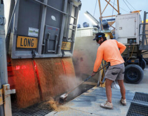 GrainCorp starts job drive