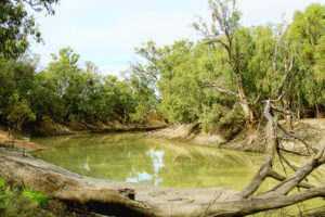 Satellites track flows