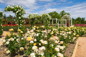 Garden funding blooming lovely