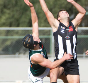 Pies ready to swoop