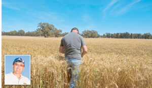 Not wet enough: Ouyen farmers get late-season rain