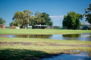 ‘Half the oval is under water’ says Nichols Point curator