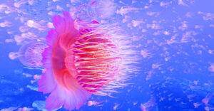 Immersed in a virtual world