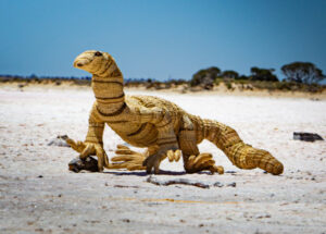 Bungarra the goanna wins award for creator