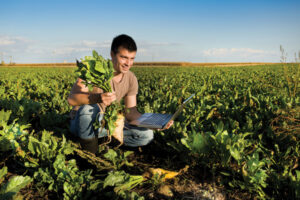 Scholarships for young farmers up for grabs