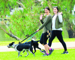 New track ‘a low priority’