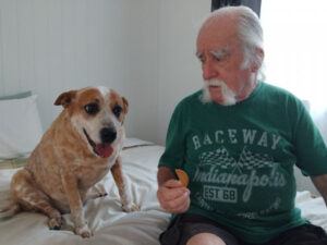 Dog fights for life, his owner fights for justice