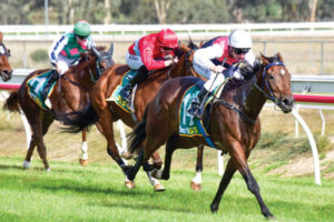 Tricky task for Pegus