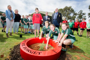 Remembering our heroes: Symbolic ‘lone pine’ planted