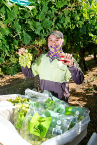 Workers staying safe in the heat