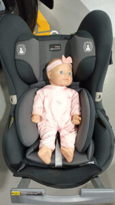 Strapped in for the journey
