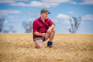 Mallee hail and wind cause widespread damage