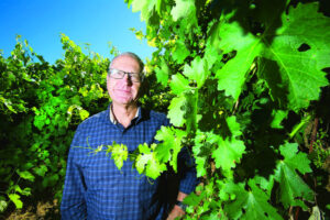 Wine prices fall short