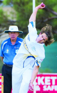 Swallows ‘need to cough up runs’
