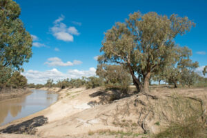 Murray-Darling Basin Authority issues bleak water outlook