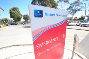 Boy bitten in dog attack