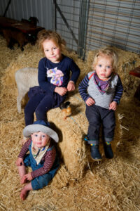 Wentworth Show days set to be winners