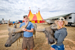 No pain to entertain