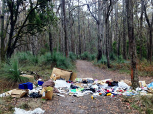 Clean Up Australia Day highlights litter bug challenge