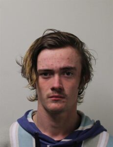 Police seek missing teenager