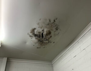 Walk-out warning over mouldy ambulance station